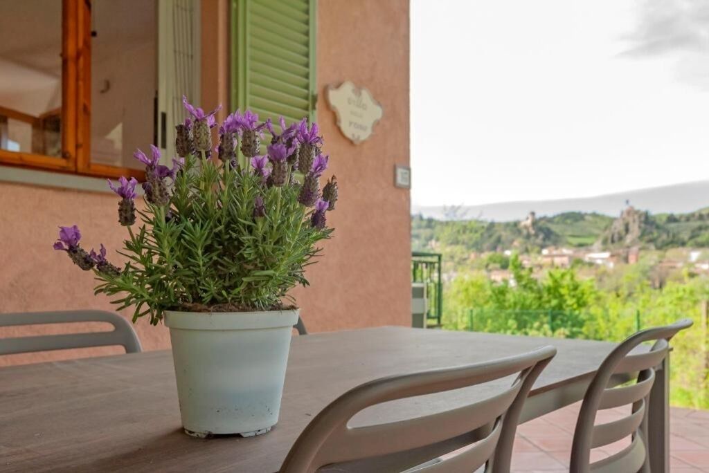 Photo of Outdoor in Brisighella
