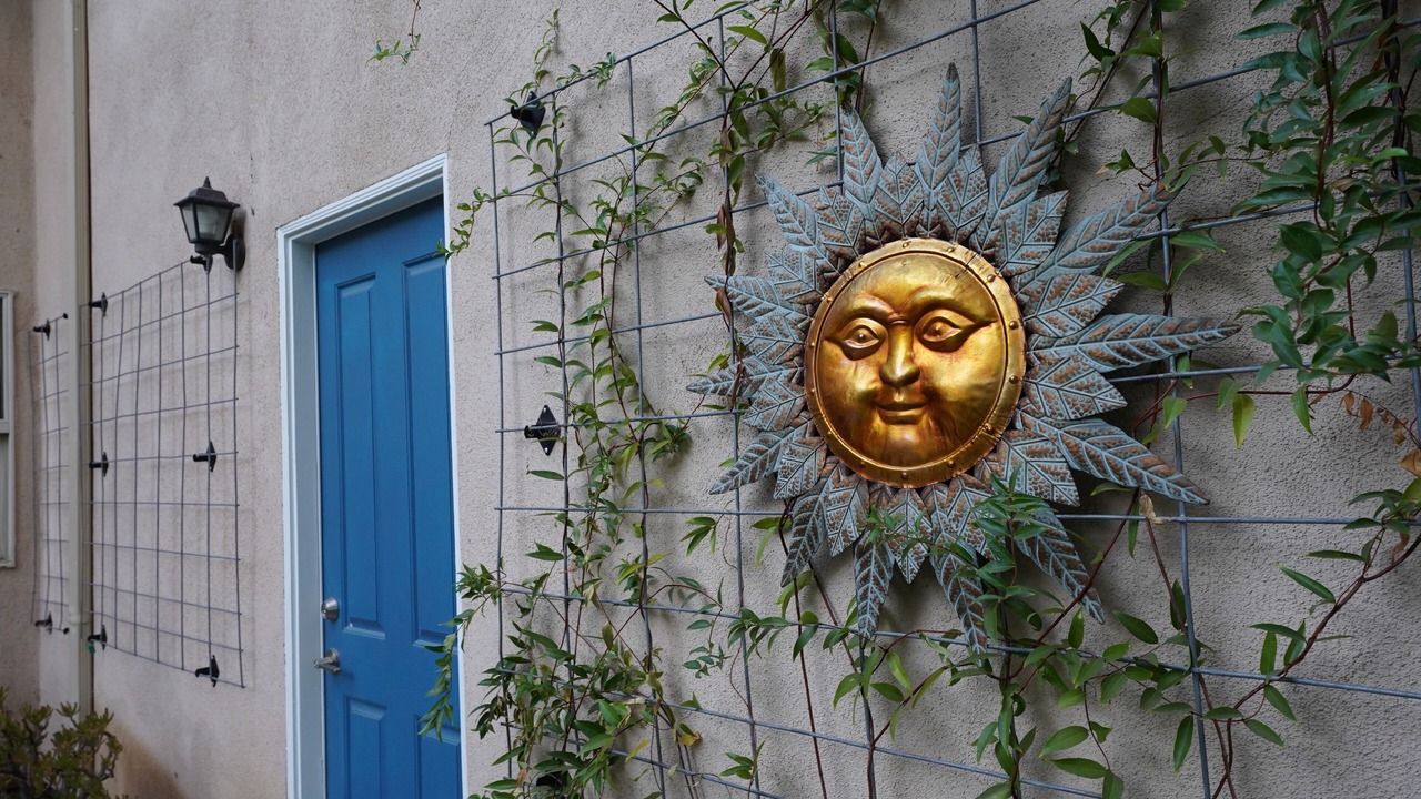 Photo of Outdoor in Somis