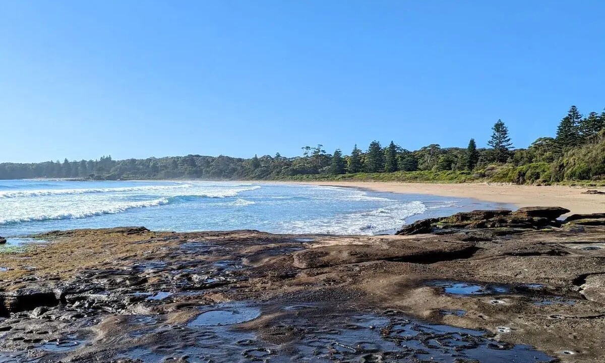 Photo of Others in South Durras
