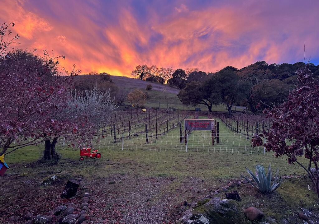 Photo of Others in Napa