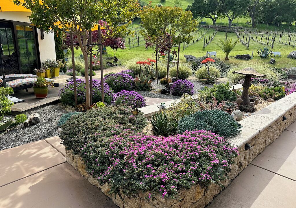 Photo of Outdoor in Napa