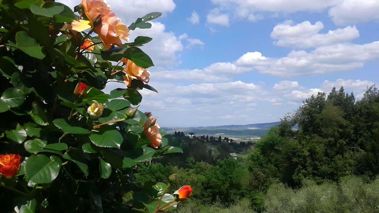 Photo of Outdoor in Castelnuovo Misericordia