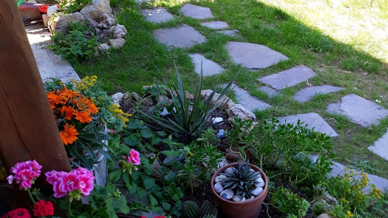 Photo of Outdoor in Castelnuovo Misericordia
