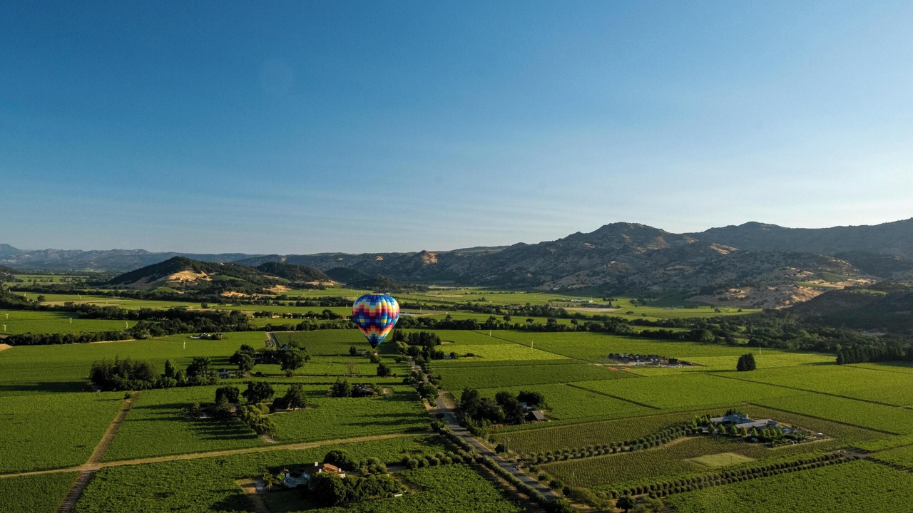 Photo of Others in Napa