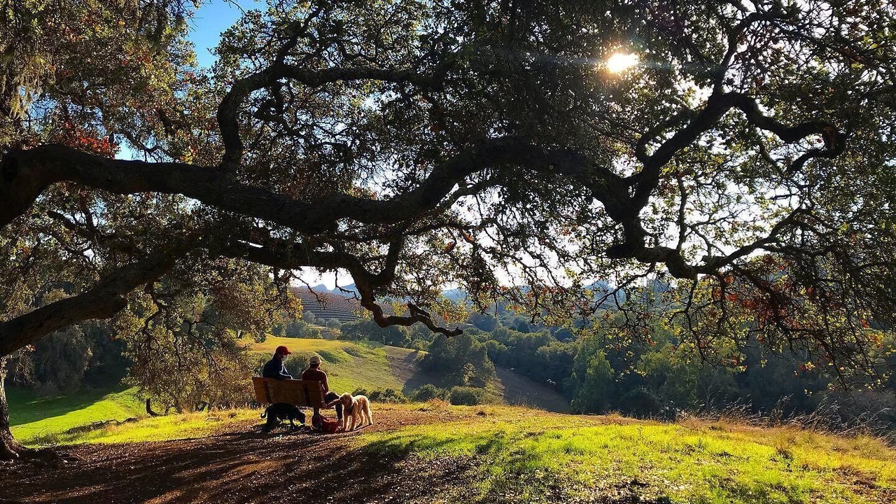Photo of Others in Napa