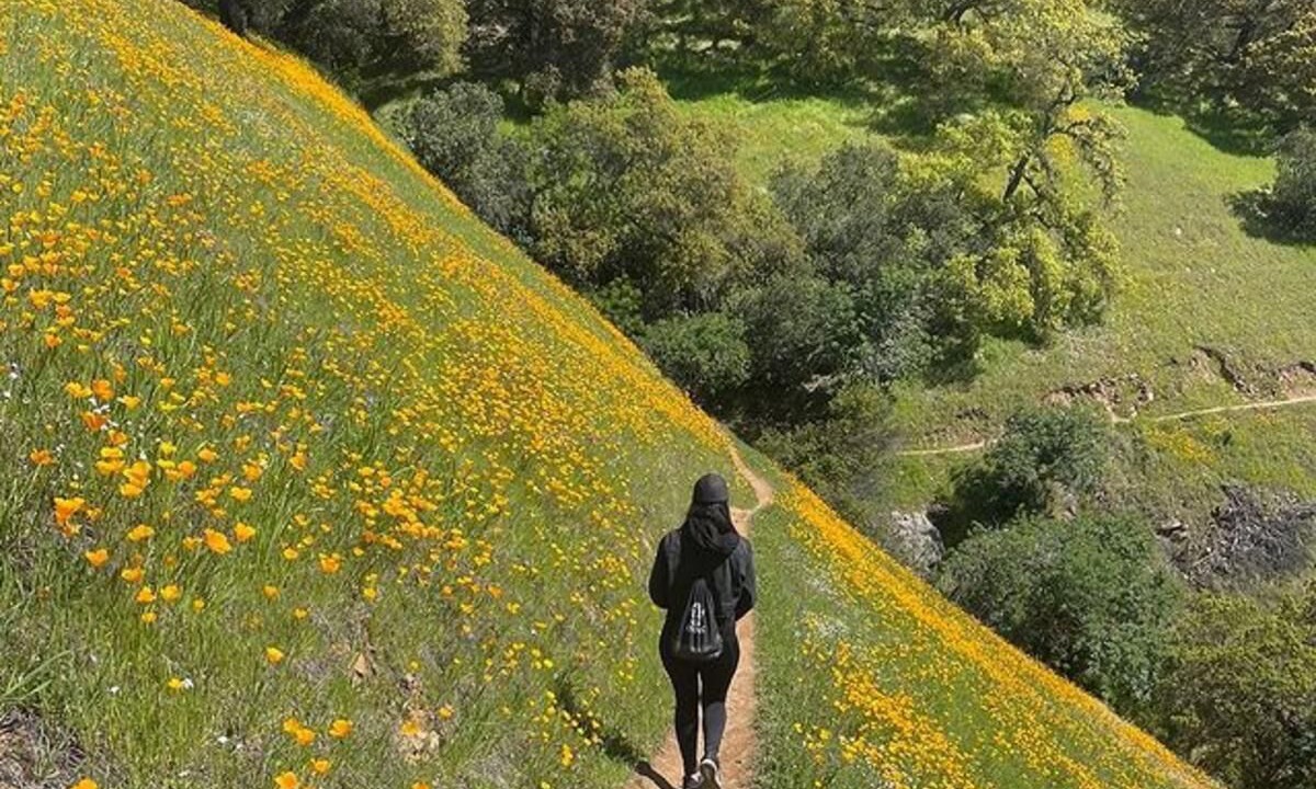 Photo of Others in Napa