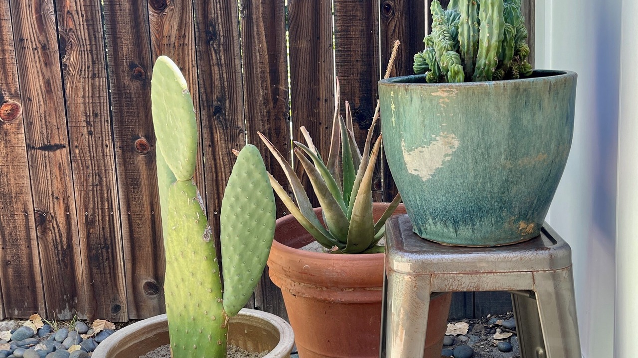 Photo of Others in Ojai
