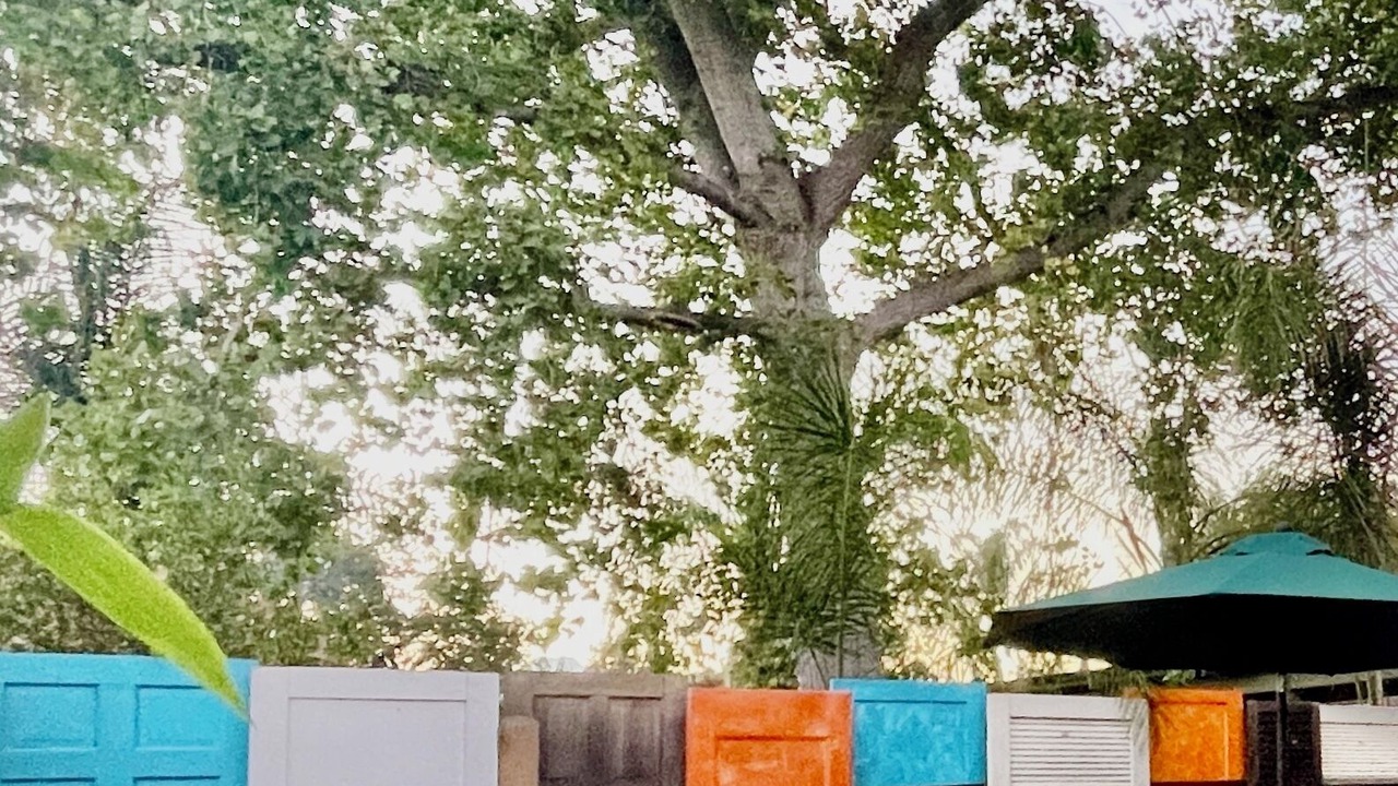 Photo of Outdoor in Ojai