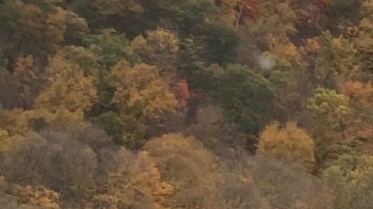 Photo of Others in Tobyhanna