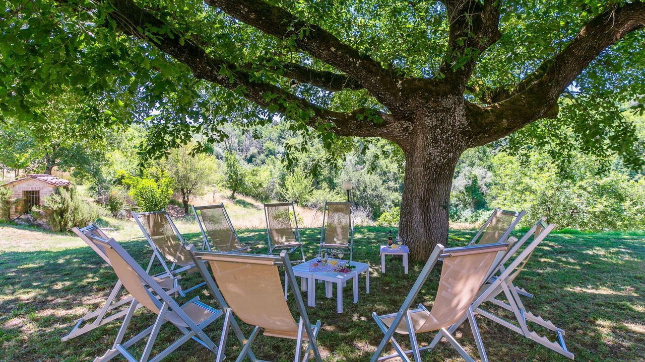 Photo of Outdoor in Collalto