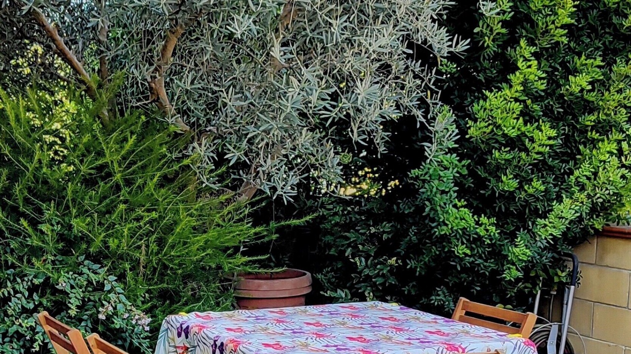 Photo of Outdoor in Ponsacco