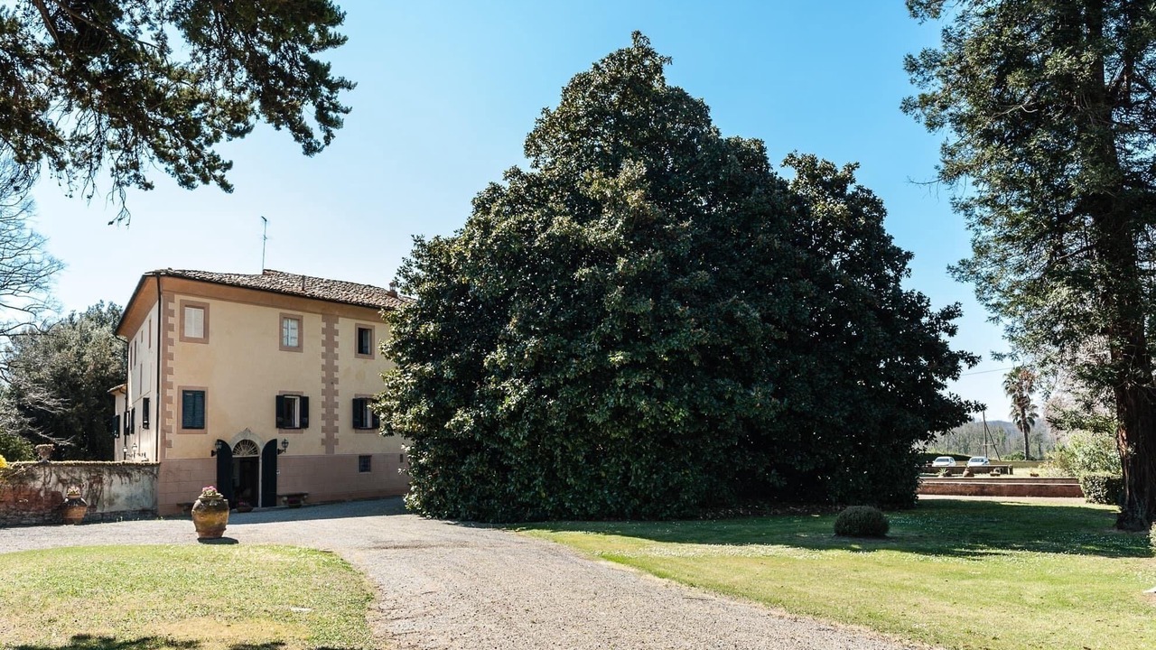 Photo of Outdoor in Tripalle