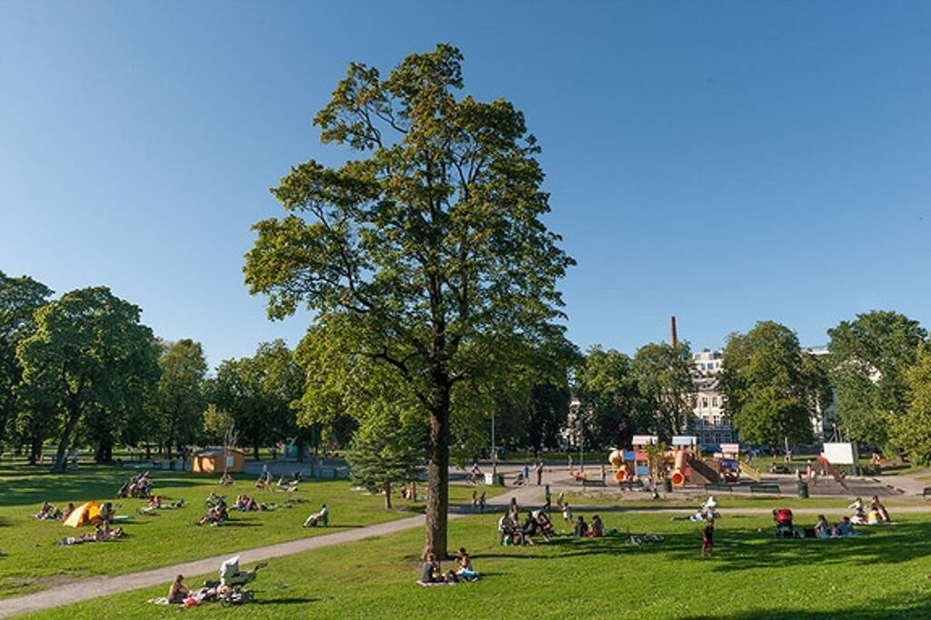 Photo of Others in Grunerlokka