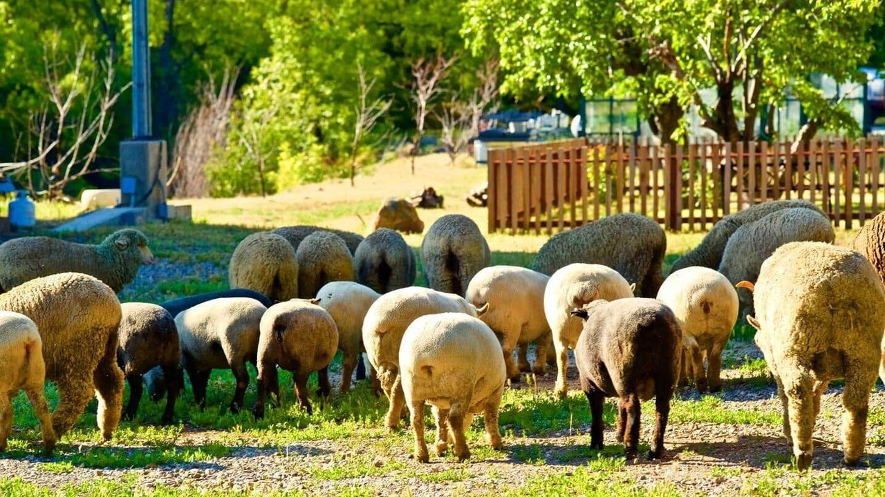 Photo of Others in Ojai