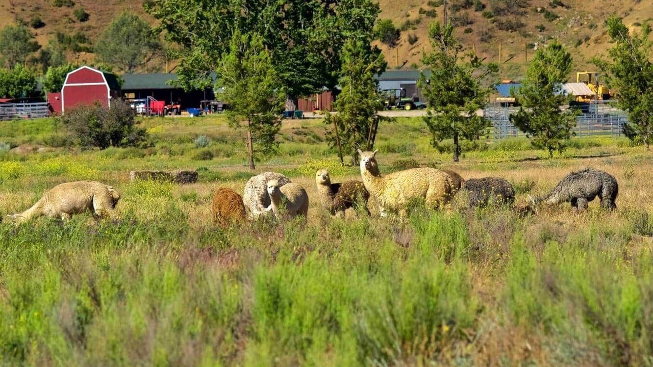 Photo of Others in Ojai
