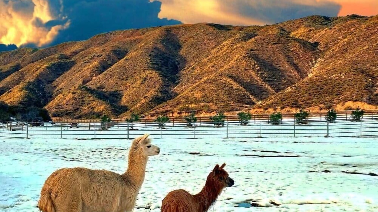 Photo of Others in Ojai
