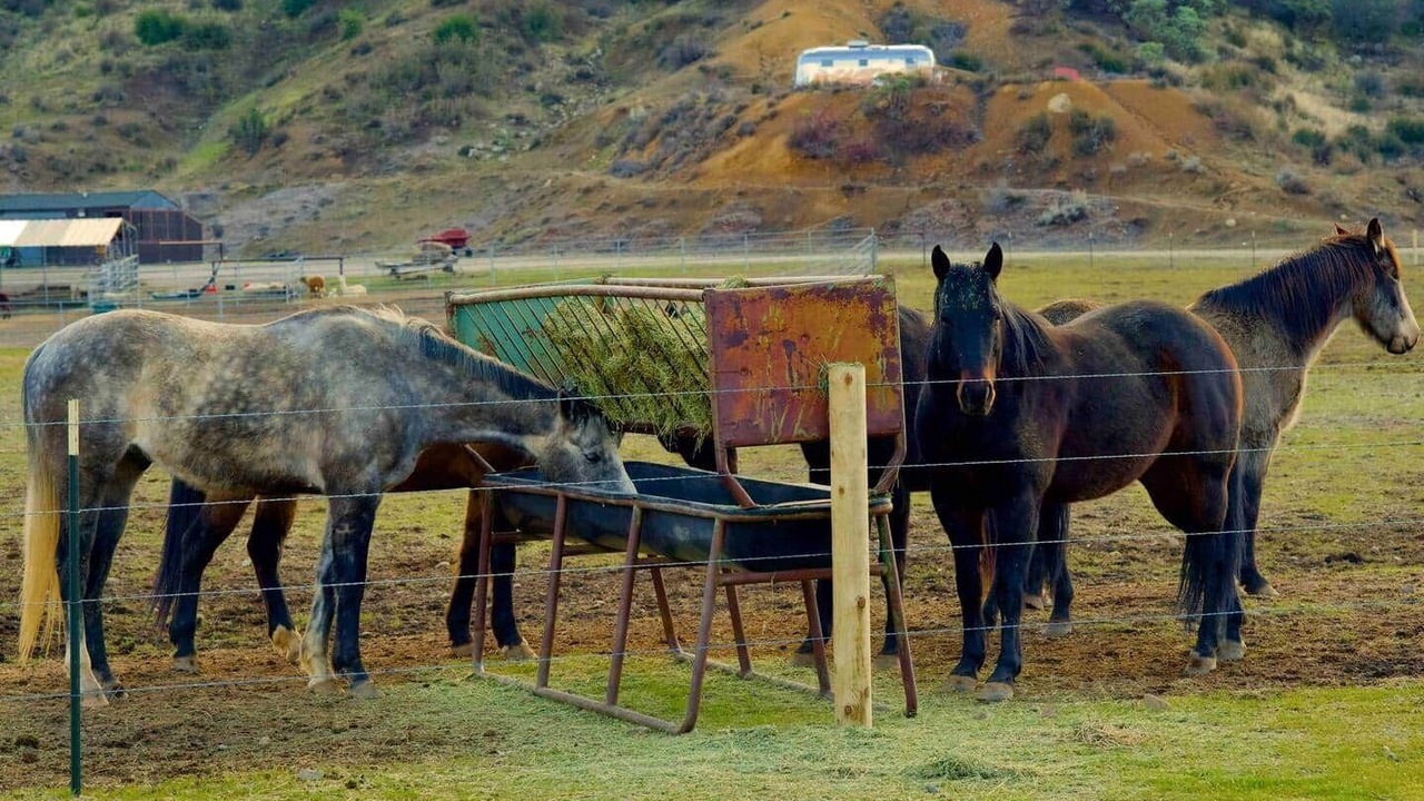 Photo of Others in Ojai