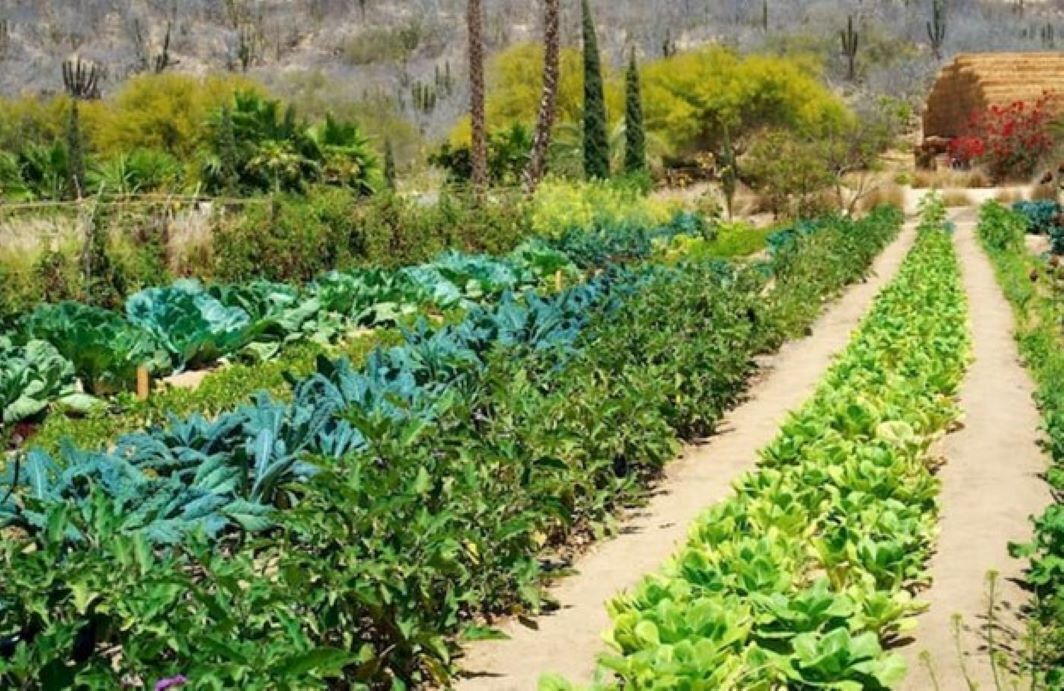 Photo of Outdoor in San Jose del Cabo