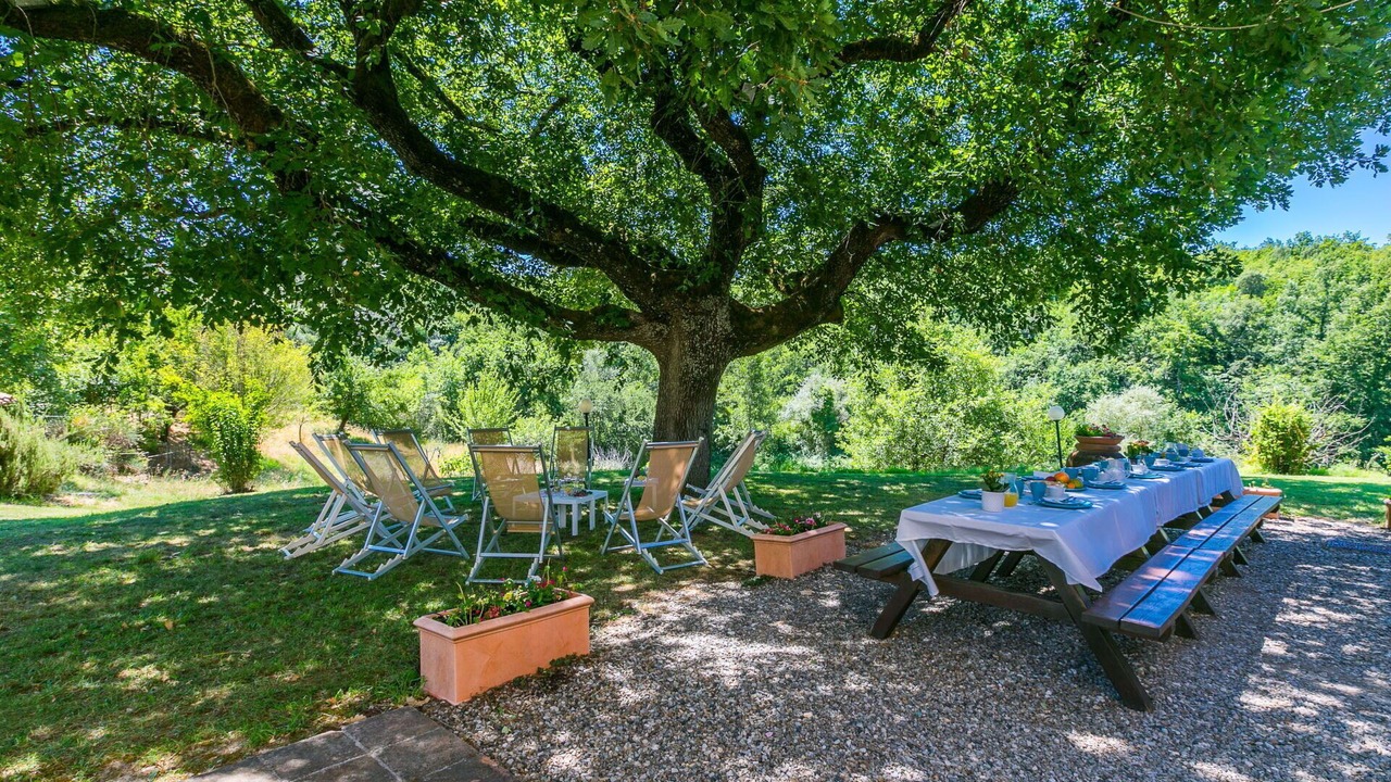 Photo of Outdoor in Collalto