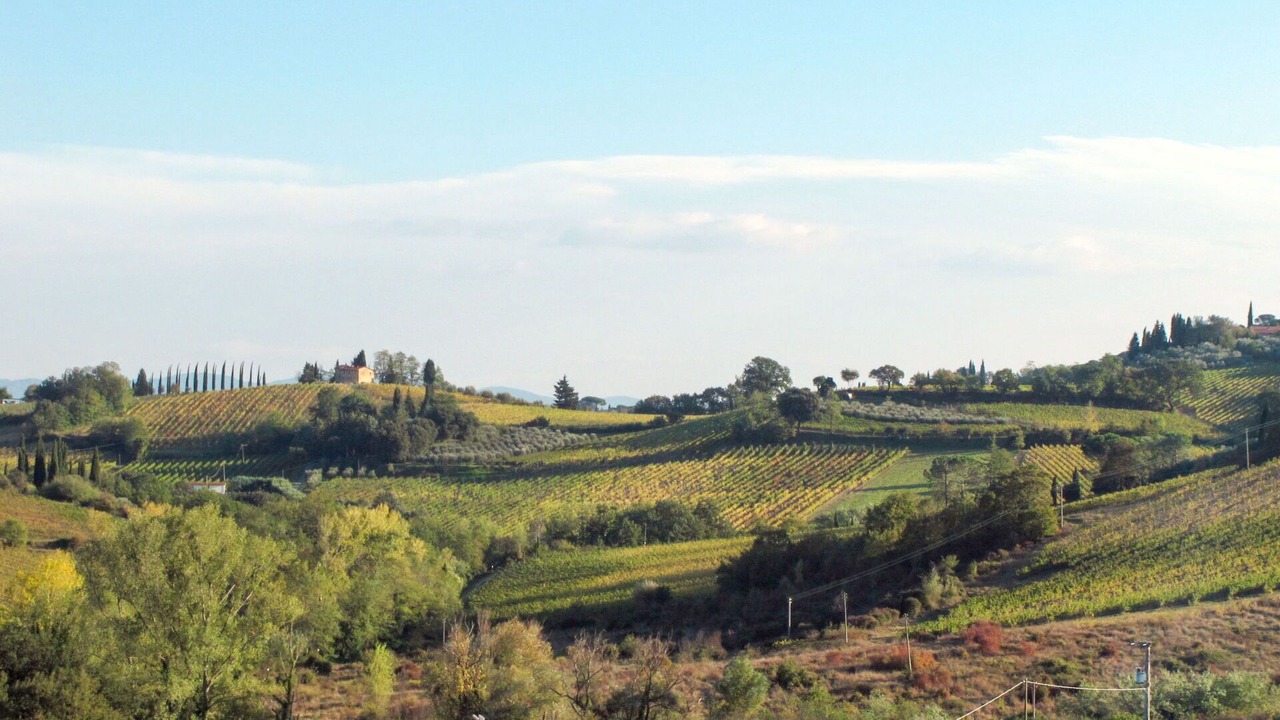 Photo of Others in Collalto