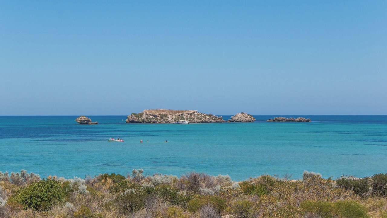 Photo of Others in Shoalwater