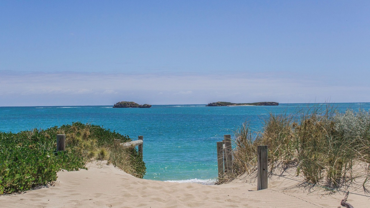 Photo of Others in Shoalwater