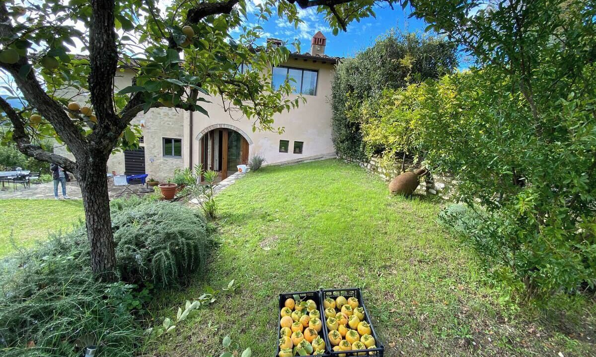 Photo of Outdoor in Twist