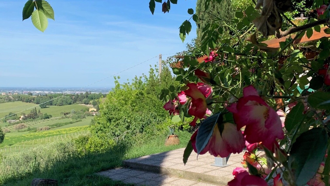 Photo of Outdoor in Bertinoro