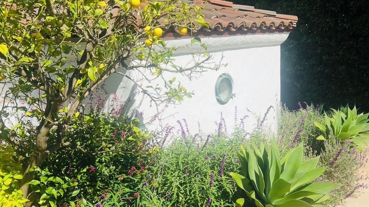 Photo of Outdoor in Montecito