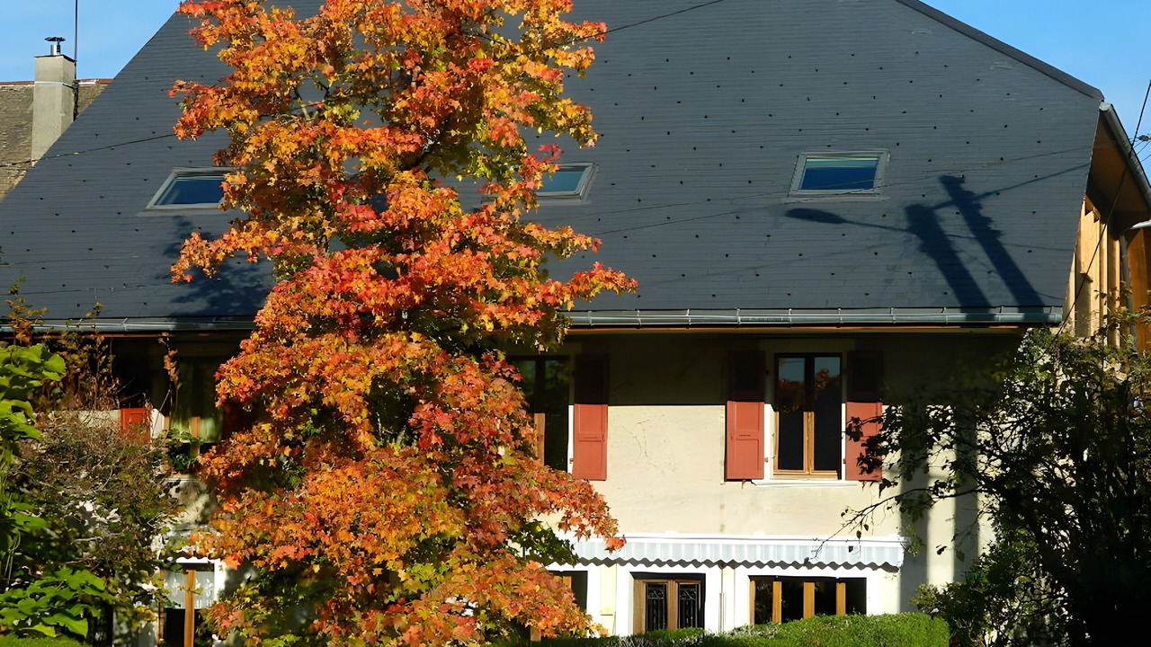 Photo of Outdoor in Verthier