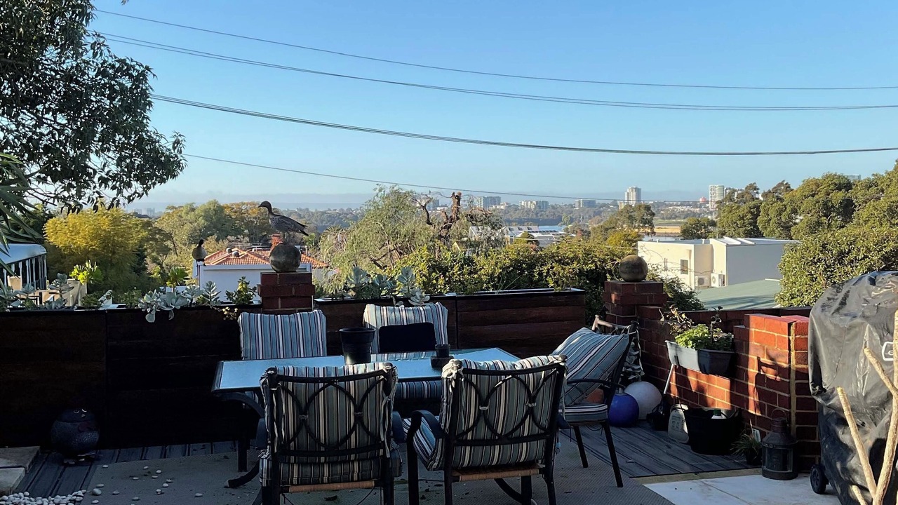Photo of Outdoor in Maylands