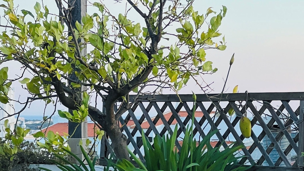 Photo of Outdoor in Boliqueime