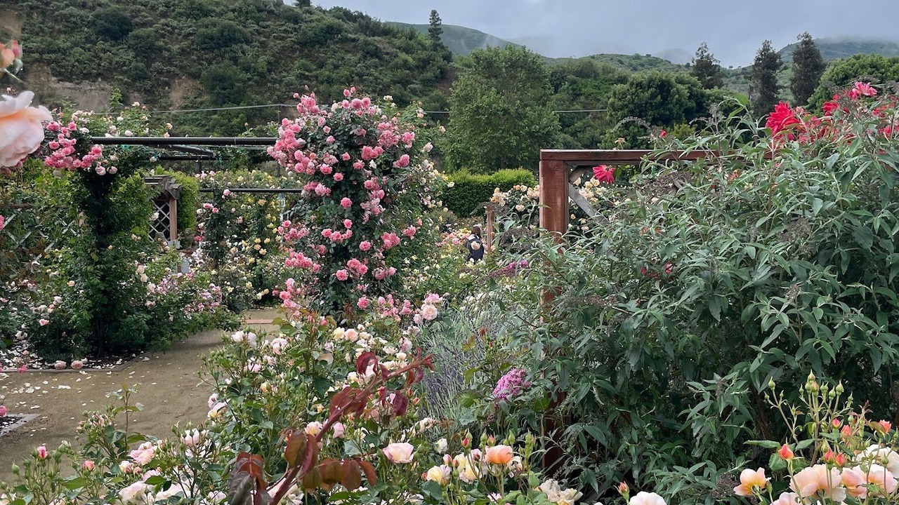 Photo of Outdoor in Fillmore