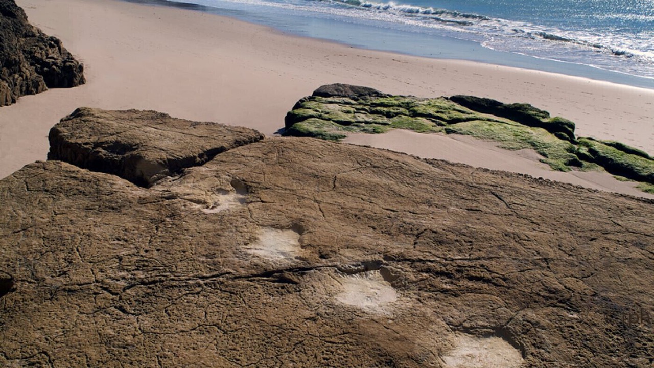 Photo of Others in Sagres