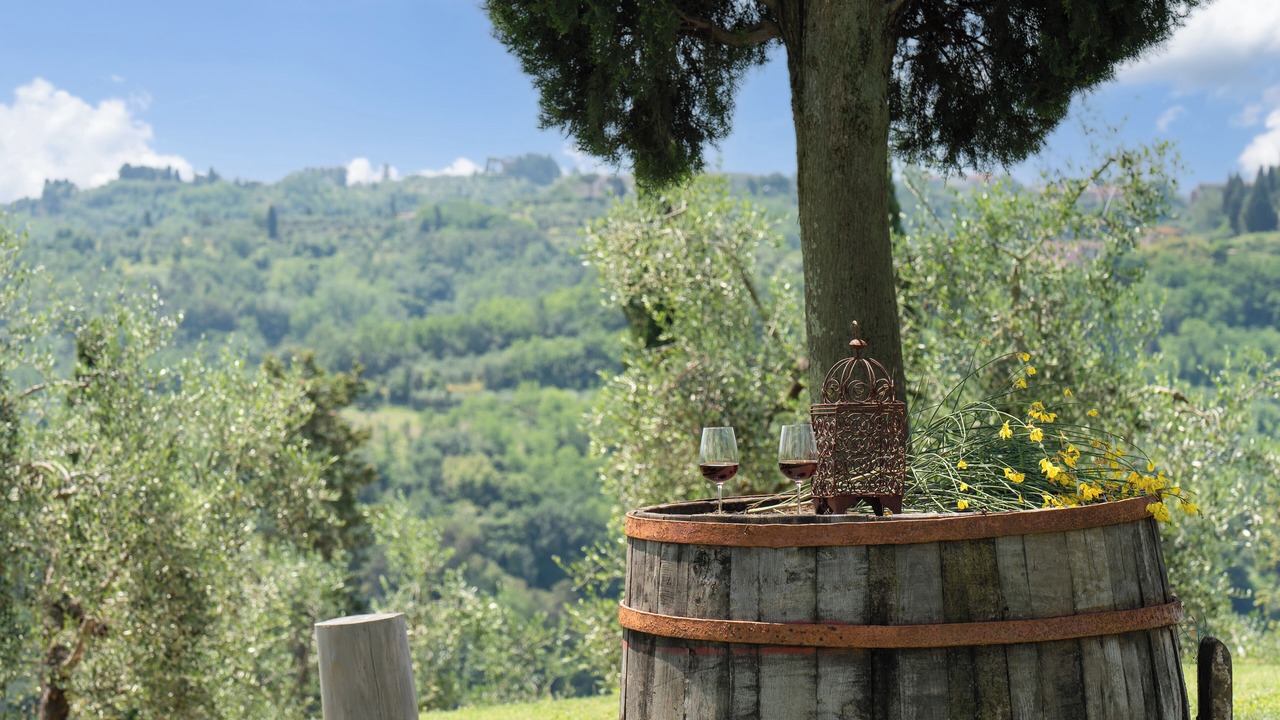 Photo of Outdoor in Palaia