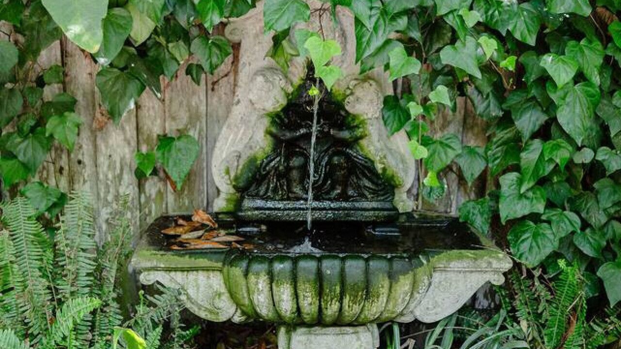 Photo of Outdoor in Montecito