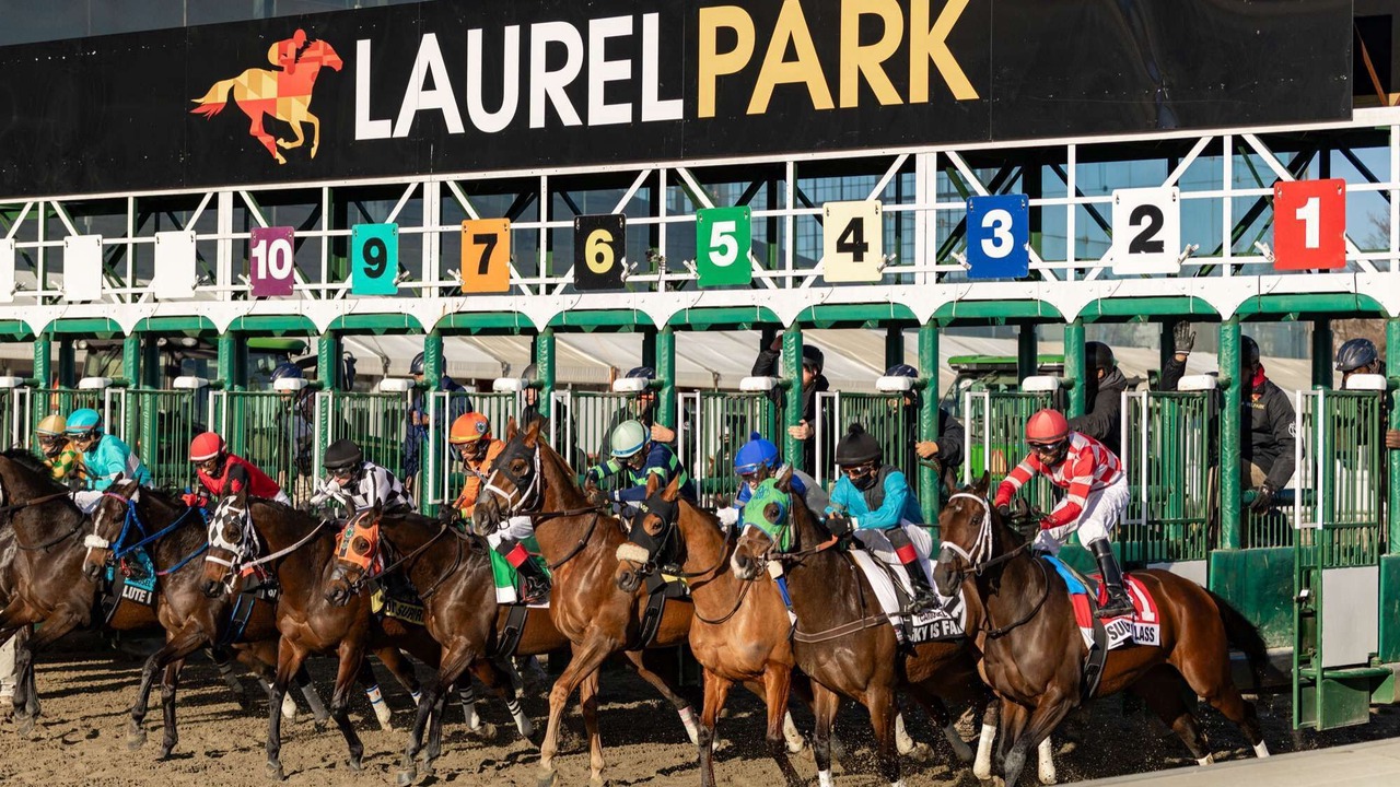 Photo of Others in West Laurel