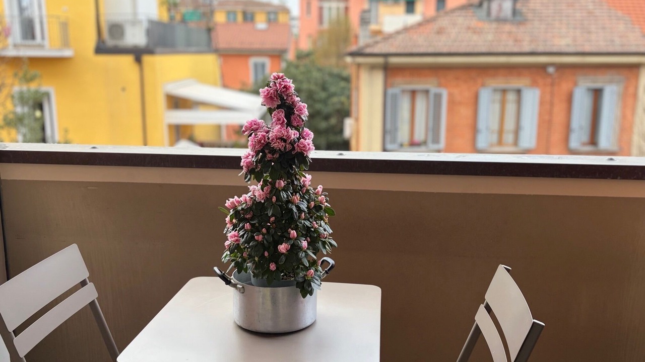 Photo of Outdoor in Bolognina