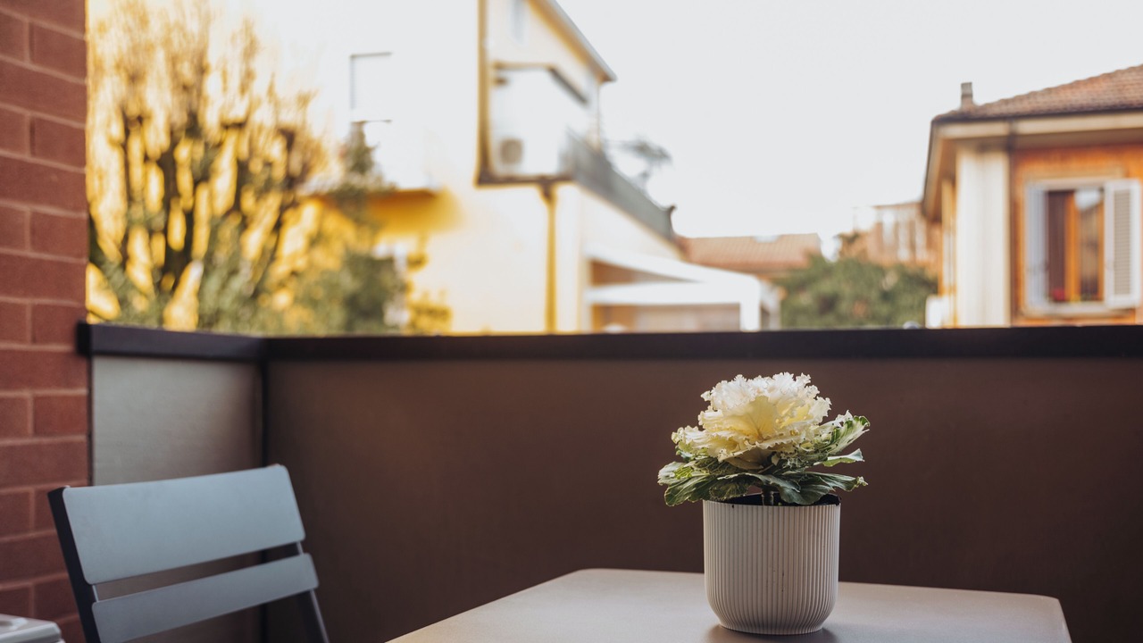 Photo of Outdoor in Bolognina