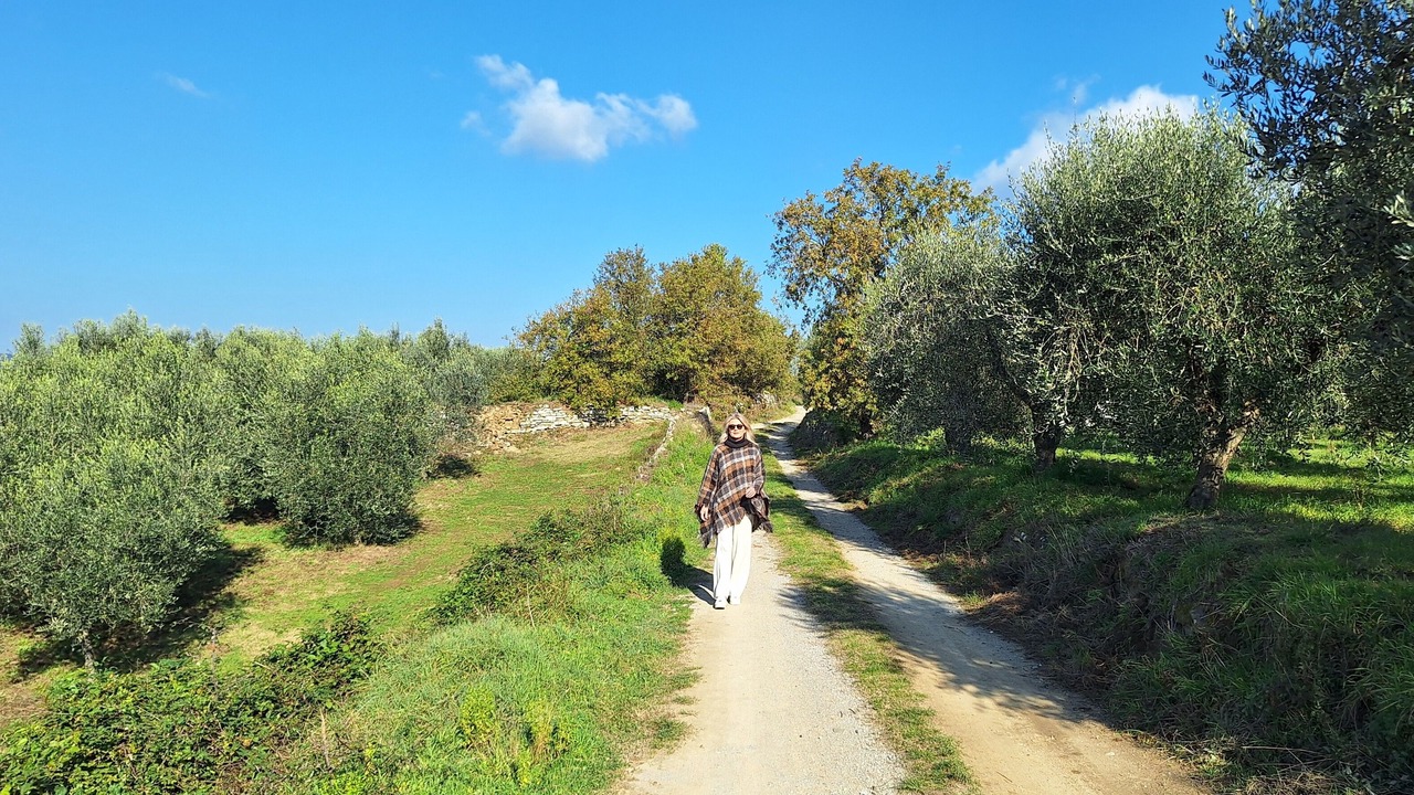 Photo of Others in Rapale
