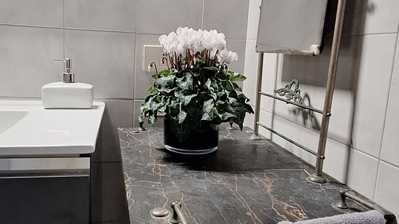 Photo of Bathroom in Rapale