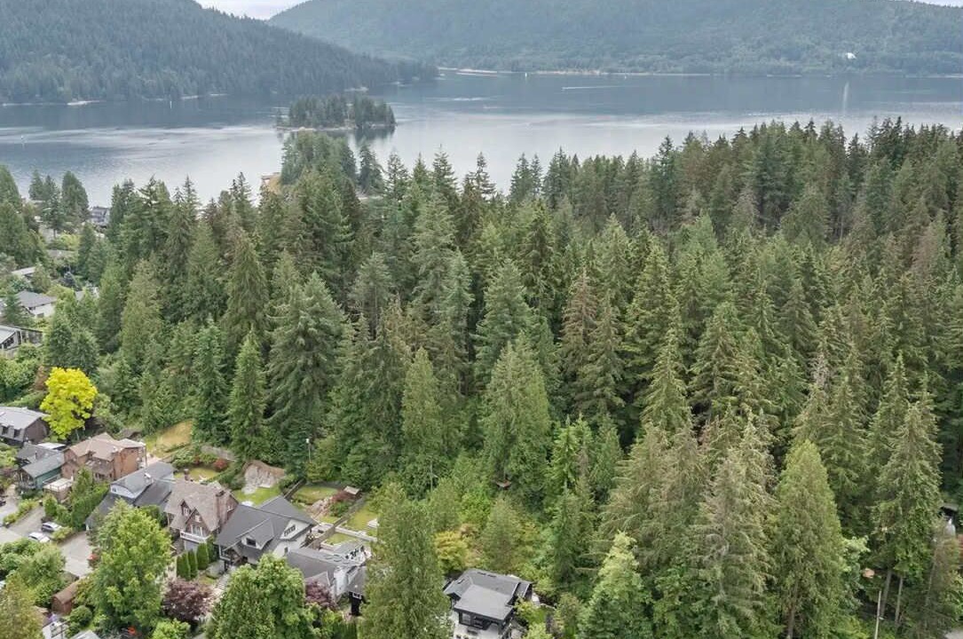 Photo of Outdoor in Deep Cove
