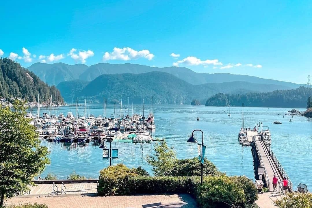 Photo of Others in Deep Cove