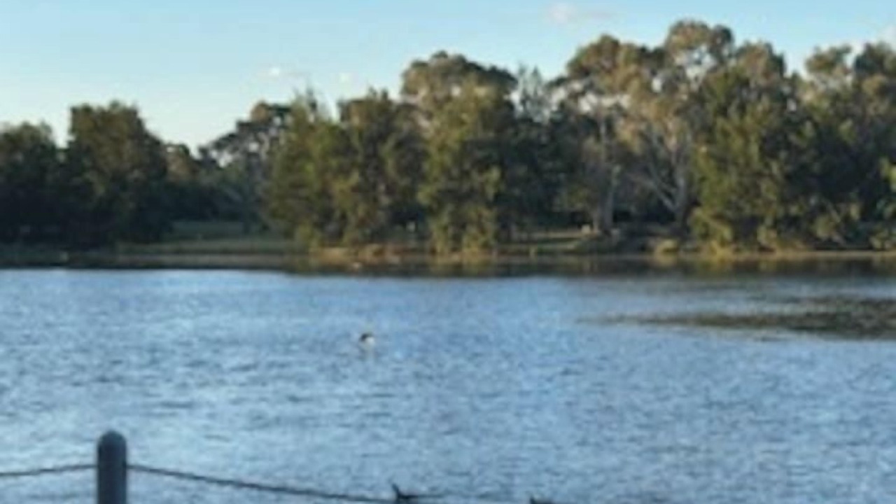 Photo of Others in Gungahlin