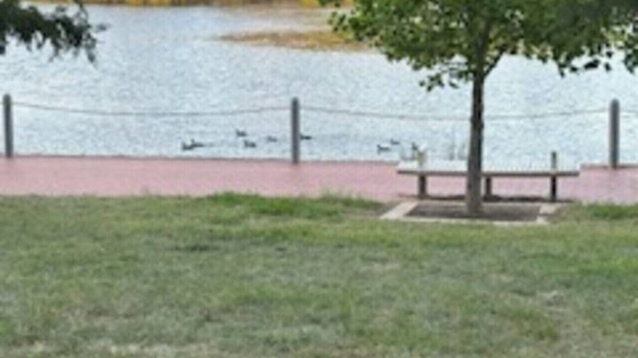 Photo of Outdoor in Gungahlin