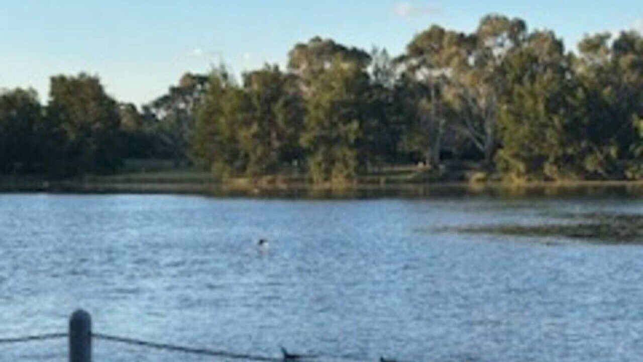 Photo of Others in Gungahlin