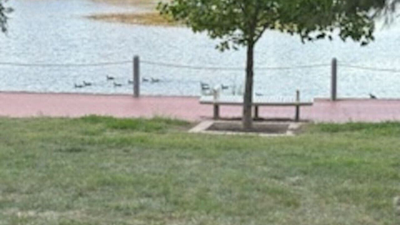 Photo of Others in Gungahlin