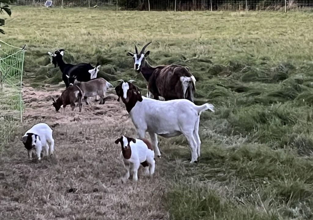 Photo of Others in Friedewald