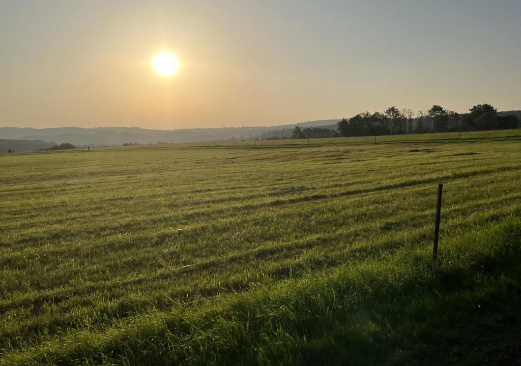 Photo of Others in Friedewald