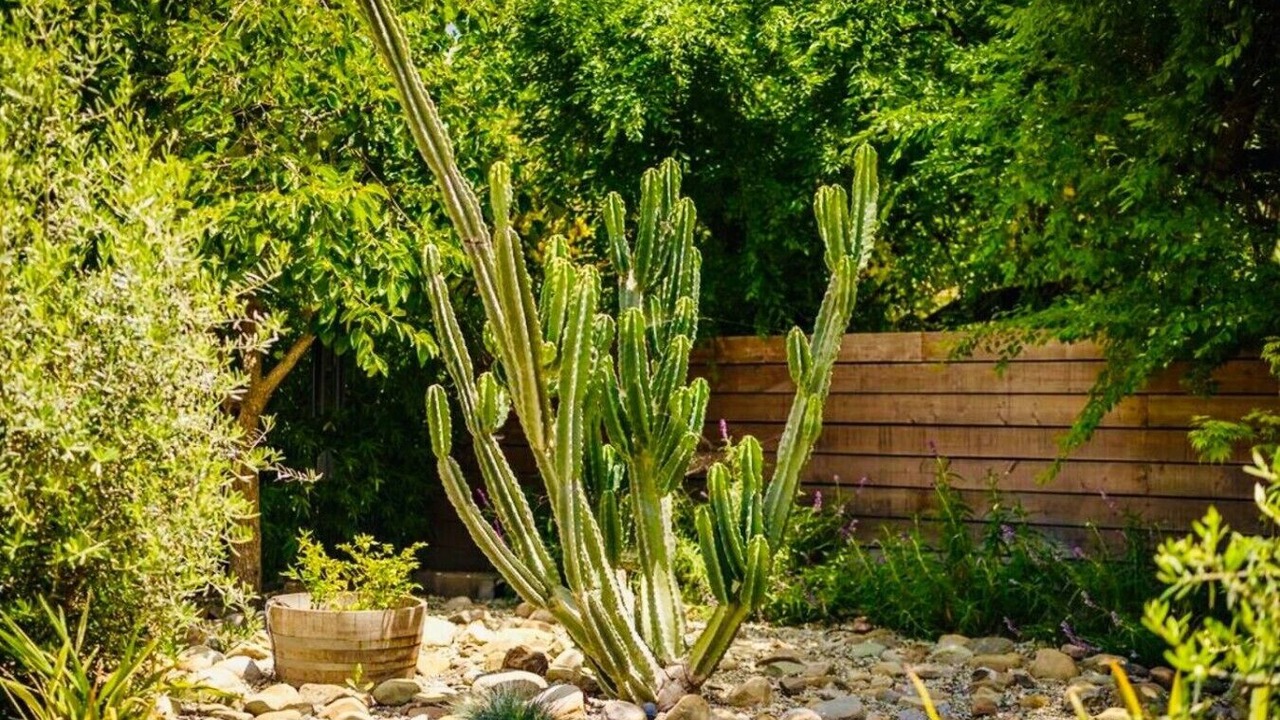 Photo of Outdoor in Ojai